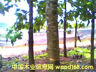 �c(di��n)���鿴�A�乫˾��ľ�֣�3����(sh��)�g���Ŵ�DƬ