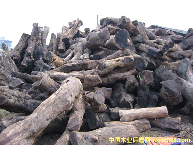 �����u��ľ��Ԕ����B