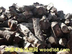 �u��ľ��Ԕ����B