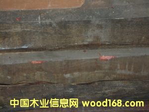 ��t��֦��Ԕ����B