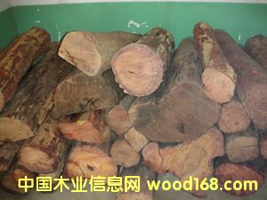 �S�����Ԕ����B