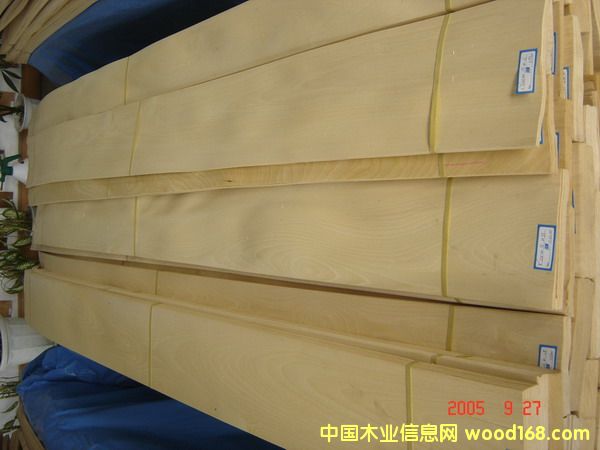 �c���鿴Golden Birch�Ŵ�DƬ