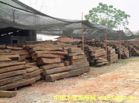 ��֦ľ��Ԕ��(x��)��B