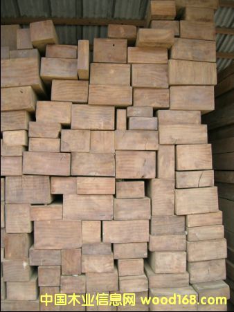 ��ľ��Ԕ��(x��)��B