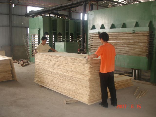 ƽ�кϰ壨LVL�����g����LVL����Ԕ����B