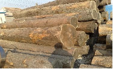 ���uľ�ļӹ����NҎ���ϵ�Ԕ����B