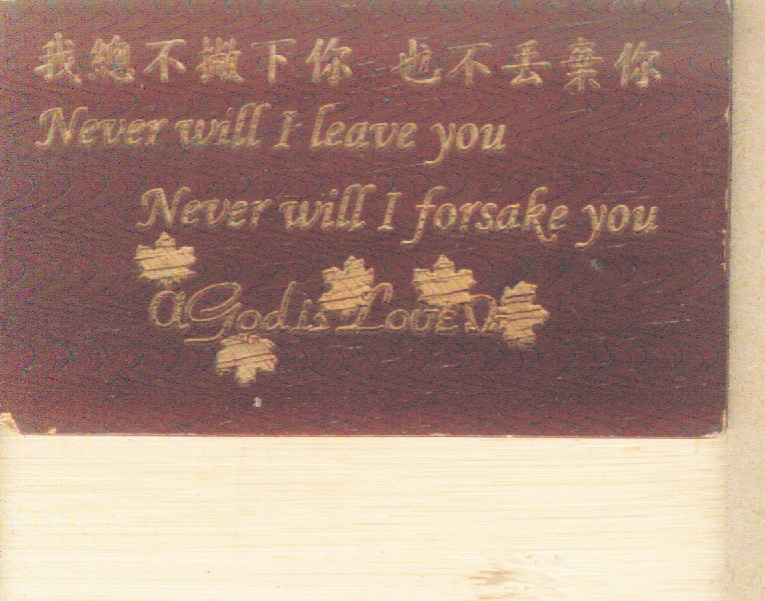 ��ľ�����Ԕ����B