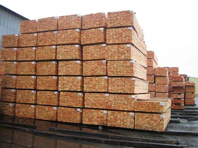 ���������ɵ�Ԕ����B