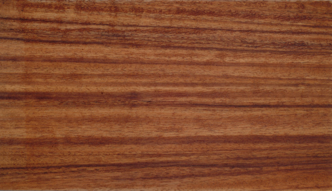 ����܊������Ԕ����B