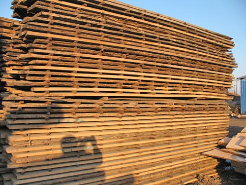 �������Ԕ����B