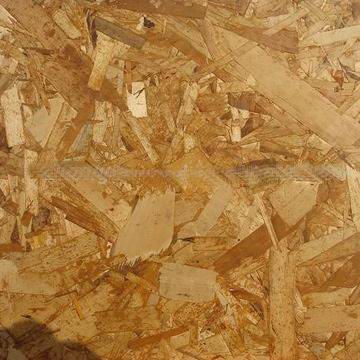 ����Y��������Ԕ����B