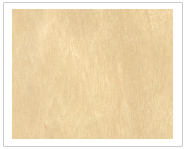 ��ľ��Ԕ����B