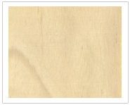 ����ľ��Ԕ����B