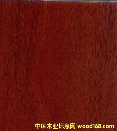 8704�߹������Ԕ����B