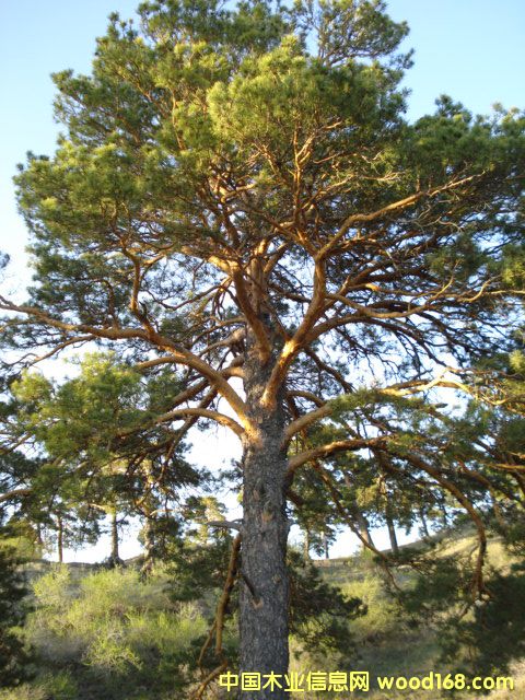 �sľ����ľ����������ľ����ľ��Ԕ����B