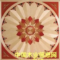 �c���鿴NSF-F6-Hua001�Ŵ�DƬ