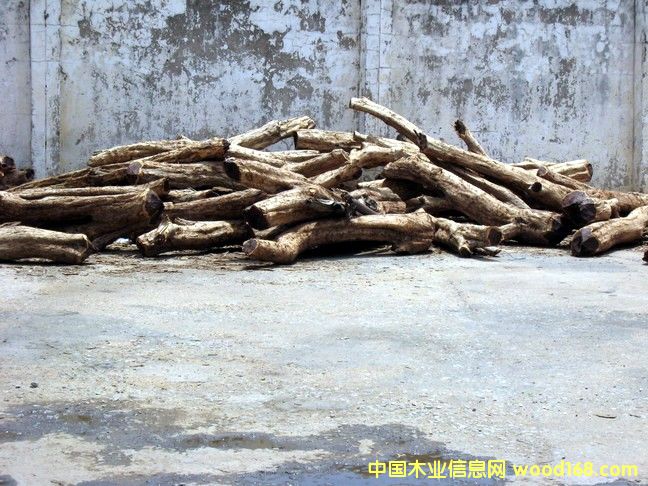 ������ľ��Ԕ����B