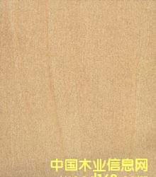 �ľ��Ƥ��Ԕ����B