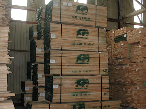 Hard maple��Ԕ����B