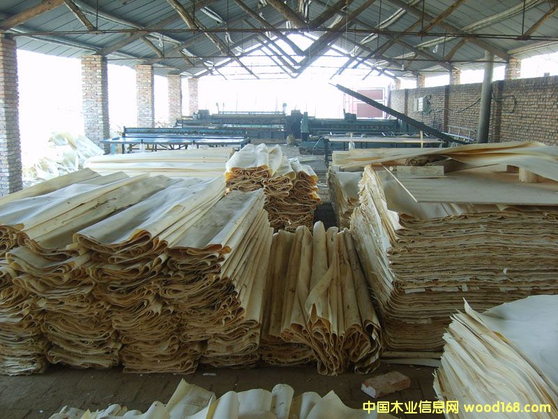 ��ľƤ��Ԕ����B