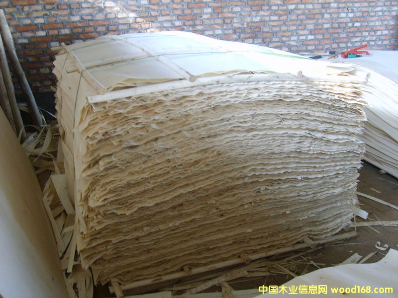 ��ľƤ��Ԕ����B