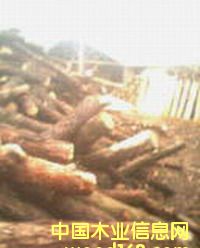 ԭ���ϵ�Ԕ��(x��)��B