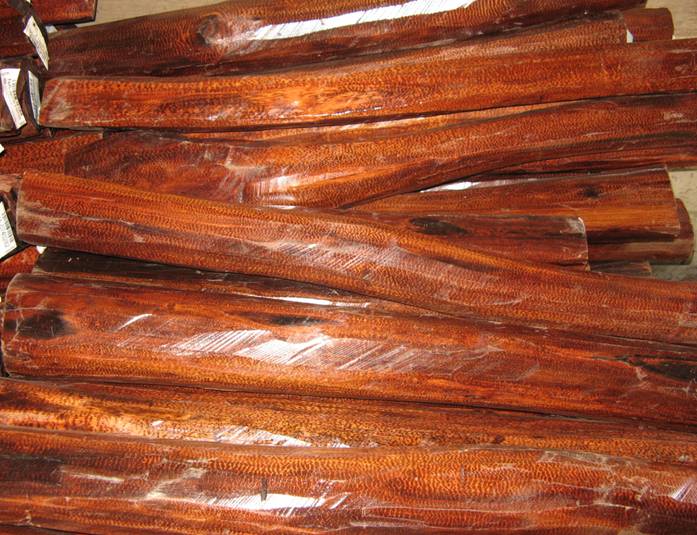 �߼yľ��Ԕ����B