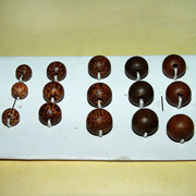 �c(di��n)���鿴ľ��06�Ŵ�DƬ