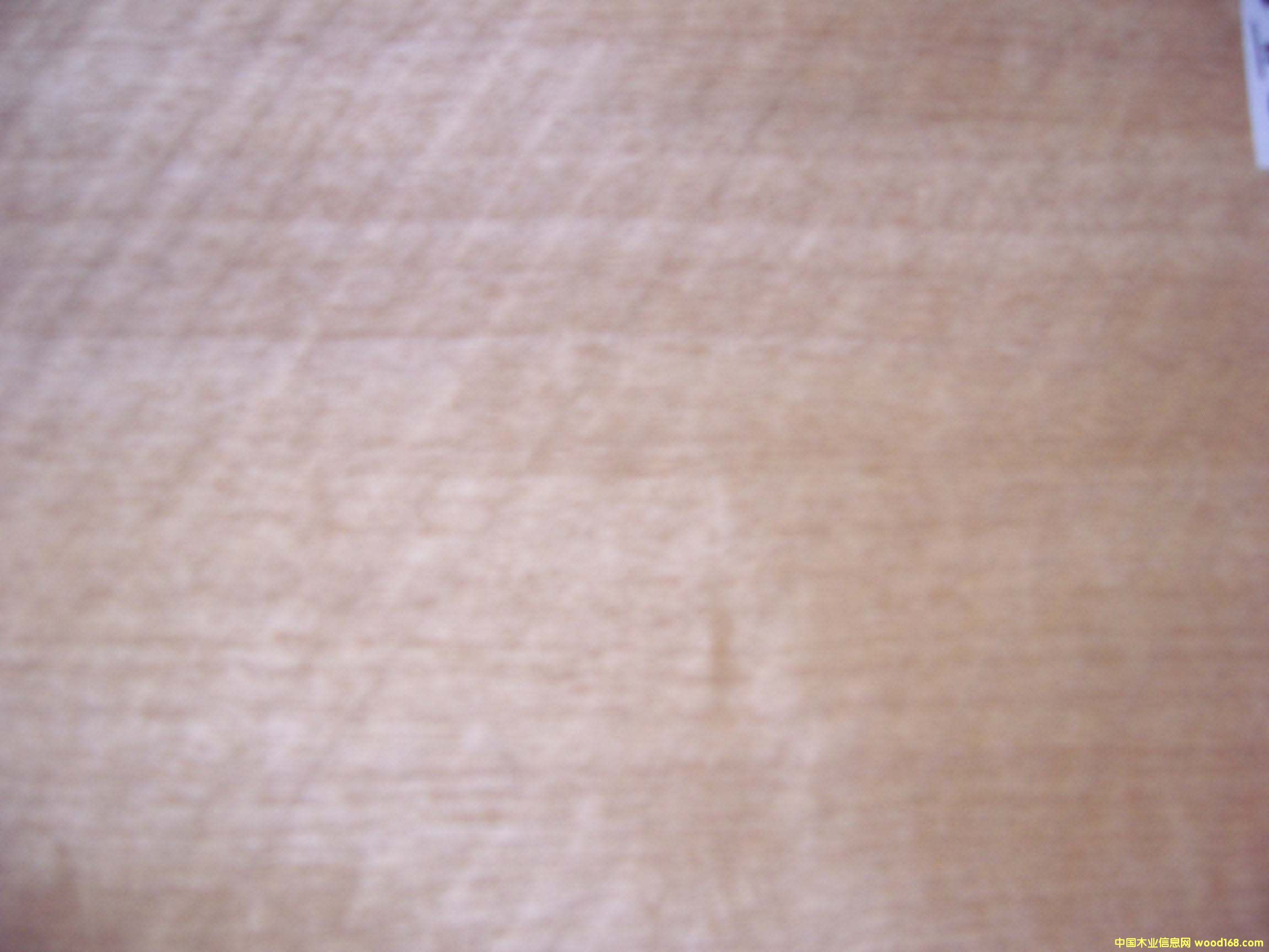 ��ȻľƤ��Ԕ����B