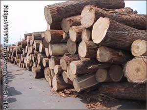 ��ľ��Ԕ��(x��)��B