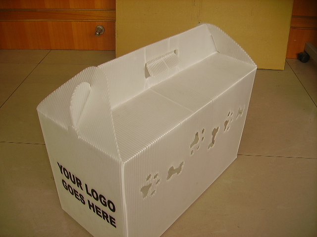 PP�����Ԕ����B