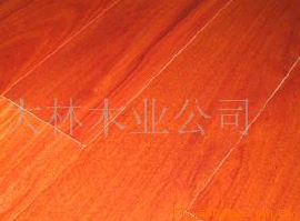 ��¡��Ԕ����B