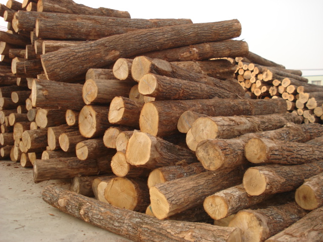 ԭľ��Ԕ����B