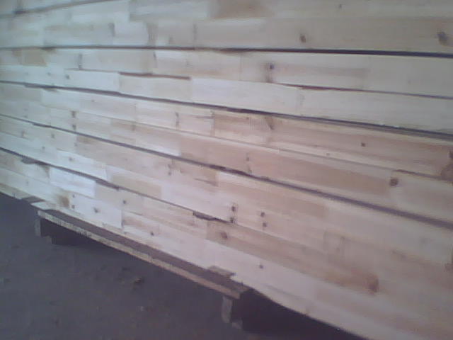 ɼľָ�Ӱ��Ԕ��(x��)��B