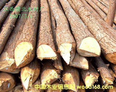 ɼľ��Ԕ����B