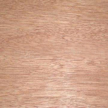 �c���鿴bintaqorplywood�Ŵ�DƬ