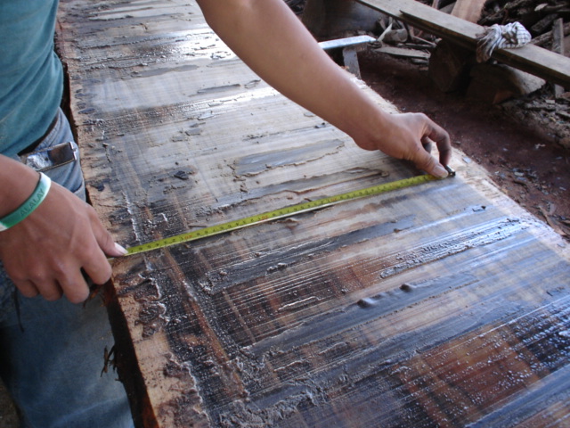 ��������ľ����