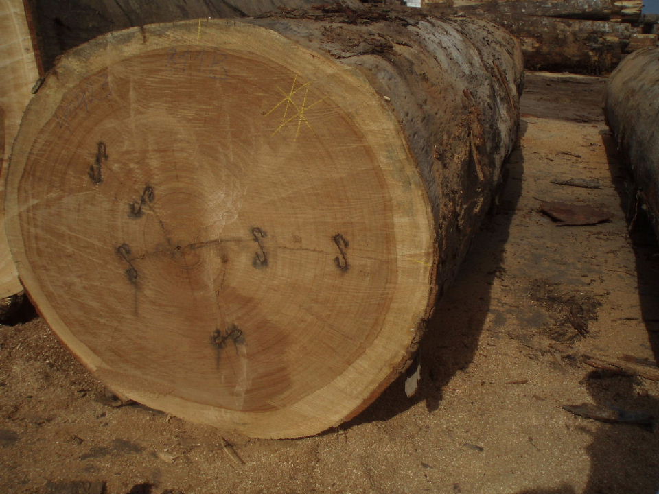 ������ľ��Ԕ����B