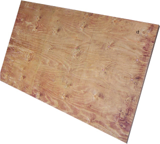 ģ���Ԕ����B