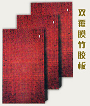 ���z��(���zģ��)��Ԕ����B