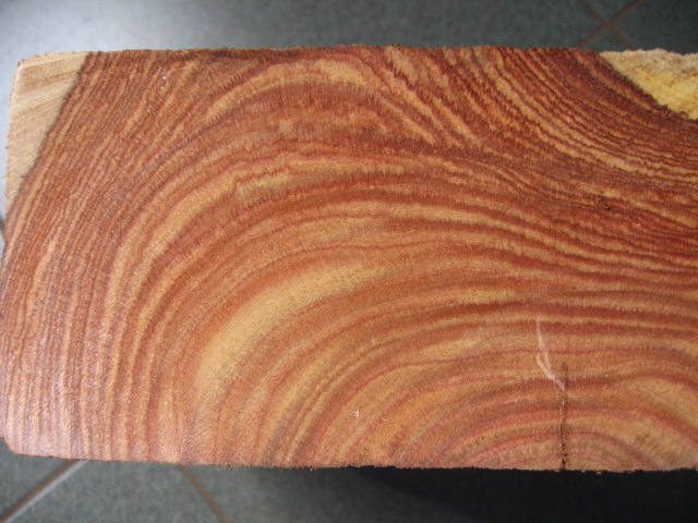 ��������Ԕ����B