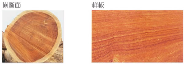 ���޼t̴��Ԕ����B