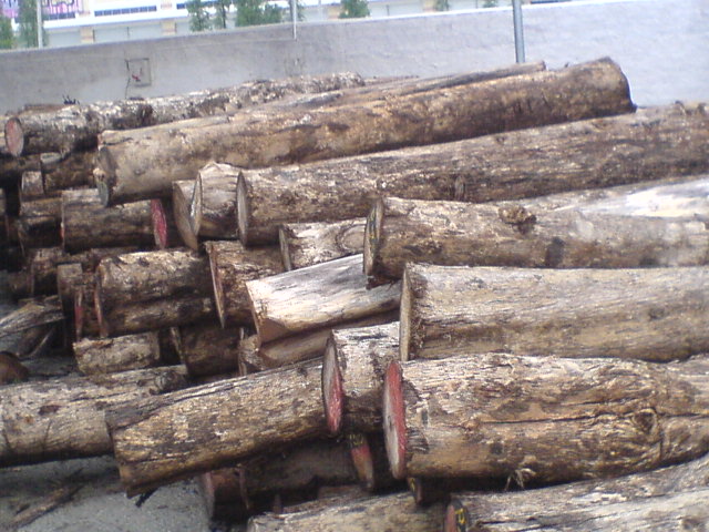 ��ľԭ�ĵ�Ԕ����B