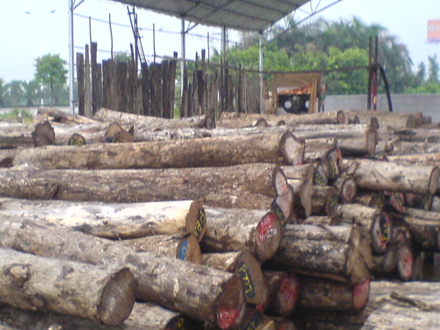 ��ľԭ�ĵ�Ԕ����B