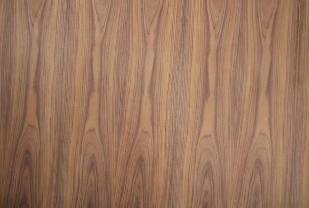 ������֦�N���