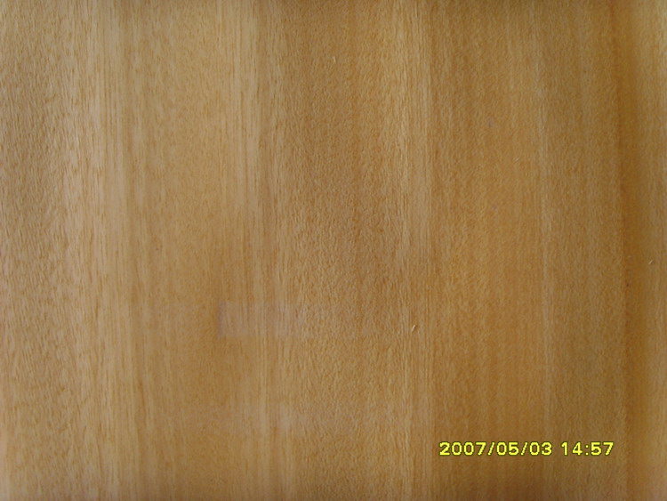 �S�����Ԕ��(x��)��B