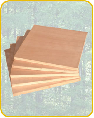 �W�������Ӱ��Ԕ��(x��)��B