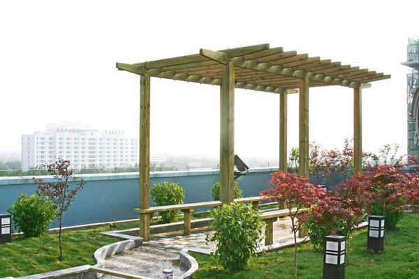 ����ľ��Ԕ����B