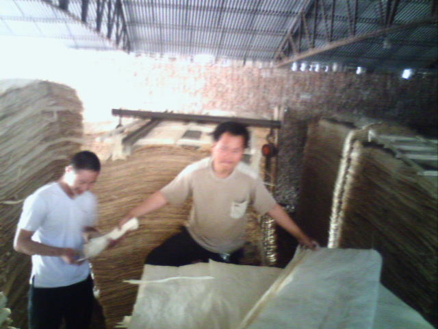 ��ľ��Ƥ��Ԕ����B