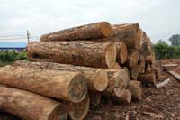 ���NҎ���䏲ĵ�Ԕ����B